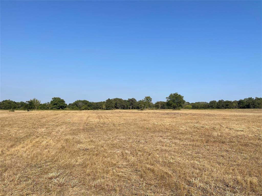 Tbd Cr 3850 Property Photo 21
