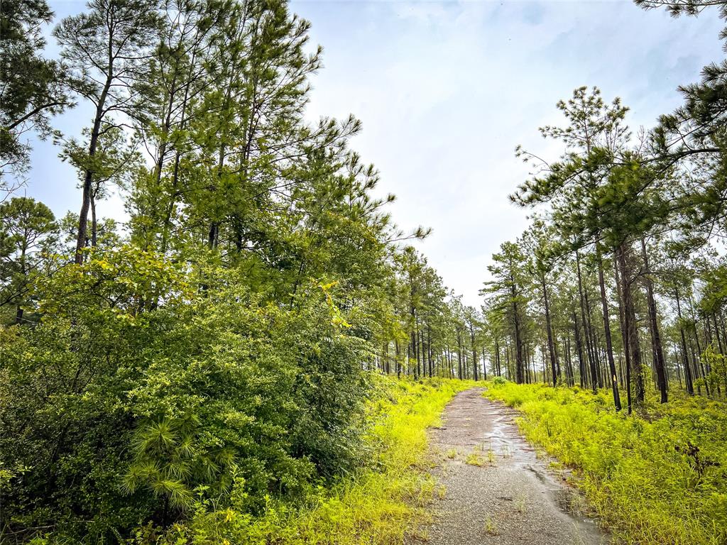 4 Cr 257 Property Photo 1