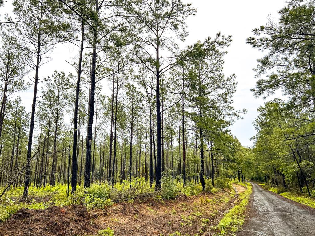 4 Cr 257 Property Photo 8