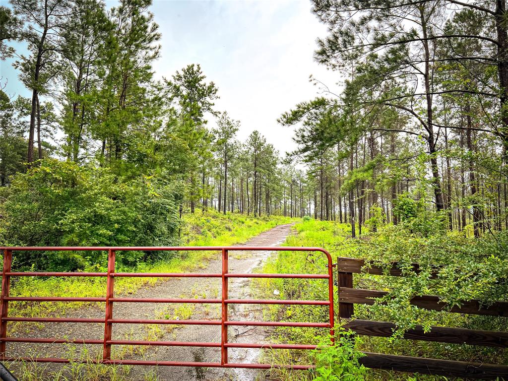 4 Cr 257 Property Photo 15