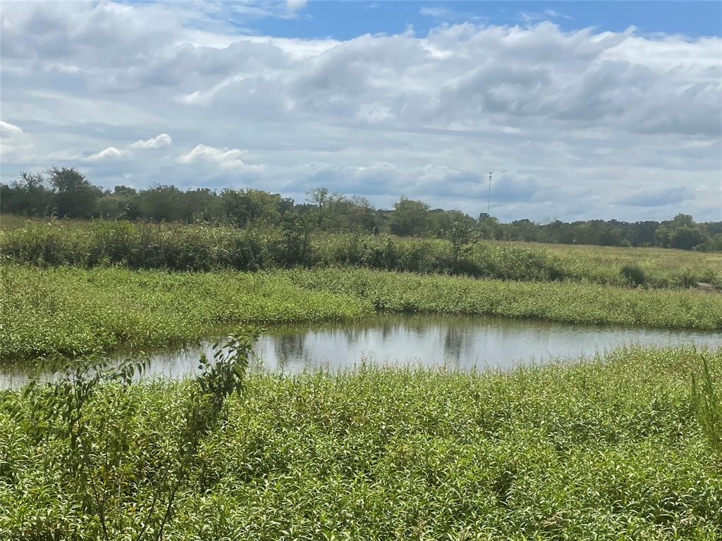 6085 W State Highway 154 Property Photo 14