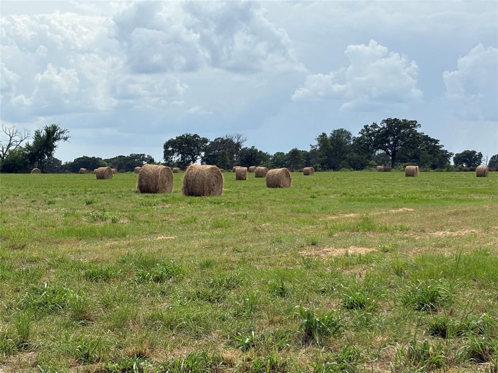6085 W State Highway 154 Property Photo 22