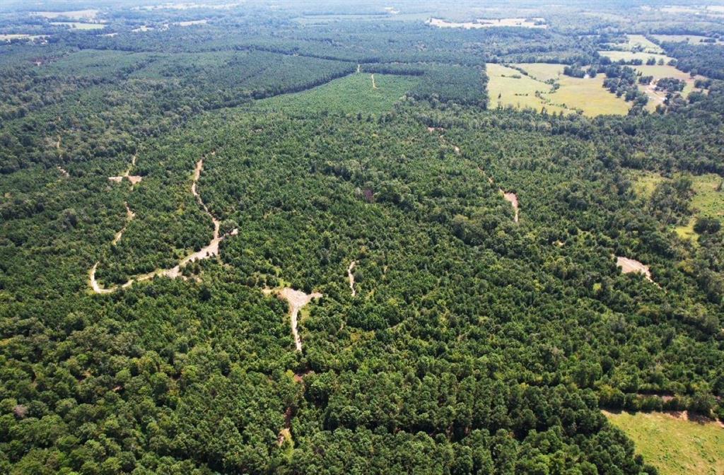 Tbd County Road 3163 Property Photo