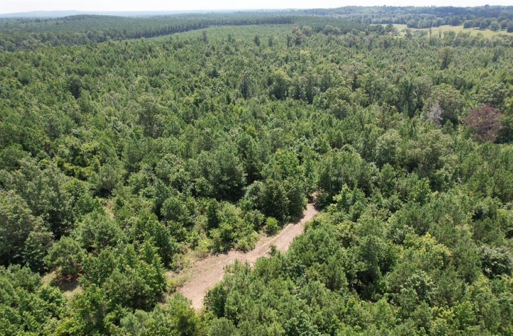 Tbd County Road 3163 Property Photo 5