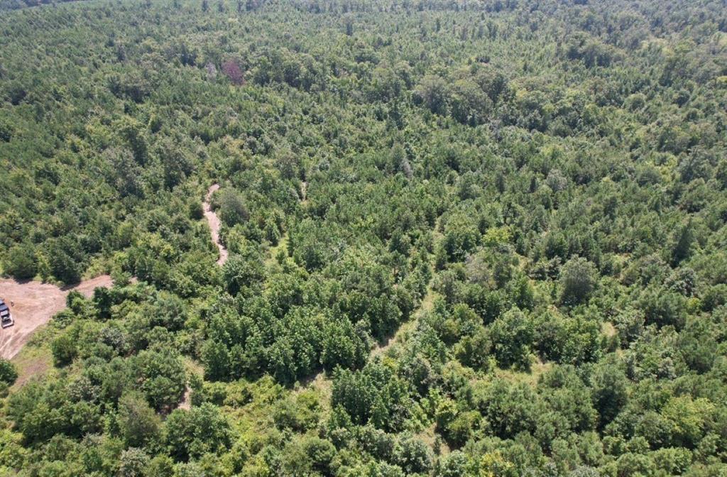 Tbd County Road 3163 Property Photo 6