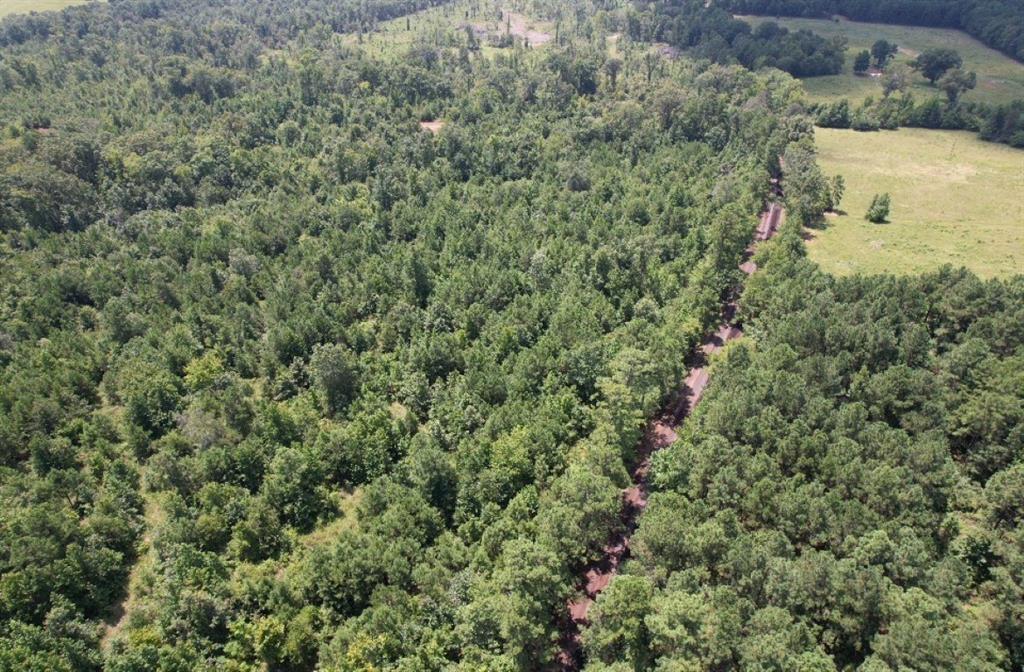 Tbd County Road 3163 Property Photo 7
