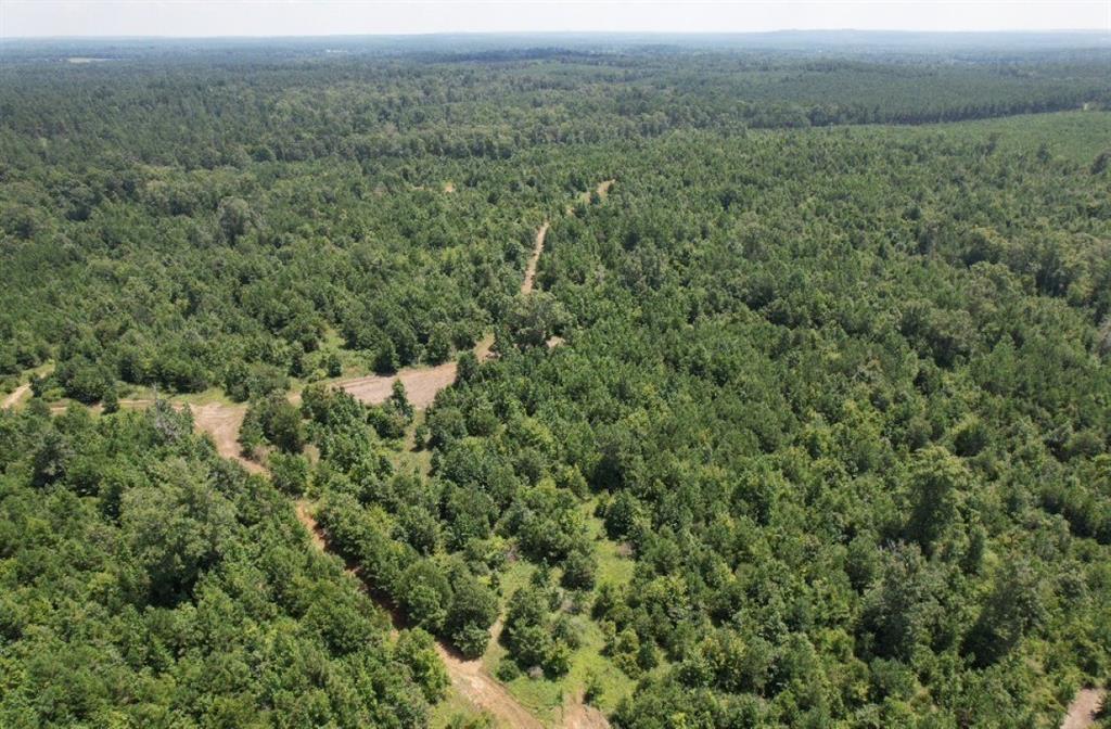Tbd County Road 3163 Property Photo 8