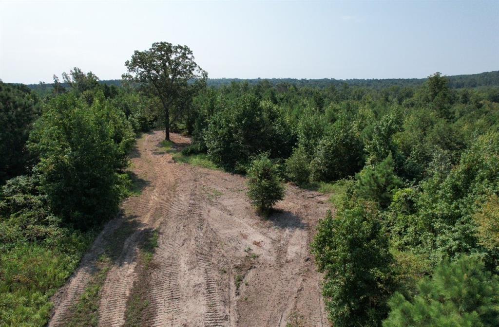 Tbd County Road 3163 Property Photo 9