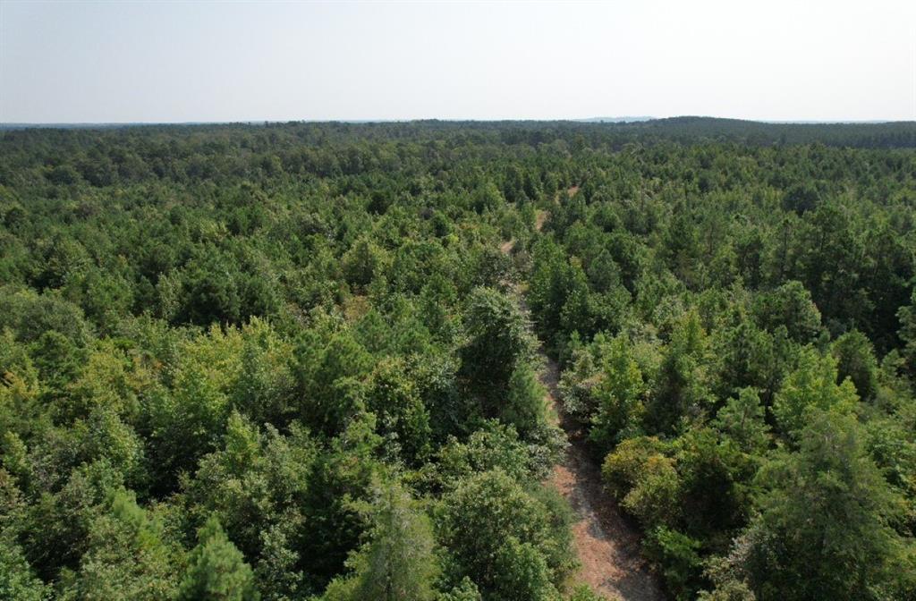 Tbd County Road 3163 Property Photo 10