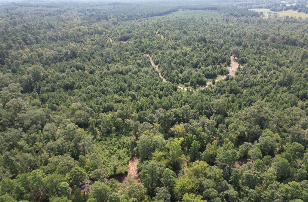 Tbd County Road 3163 Property Photo 15