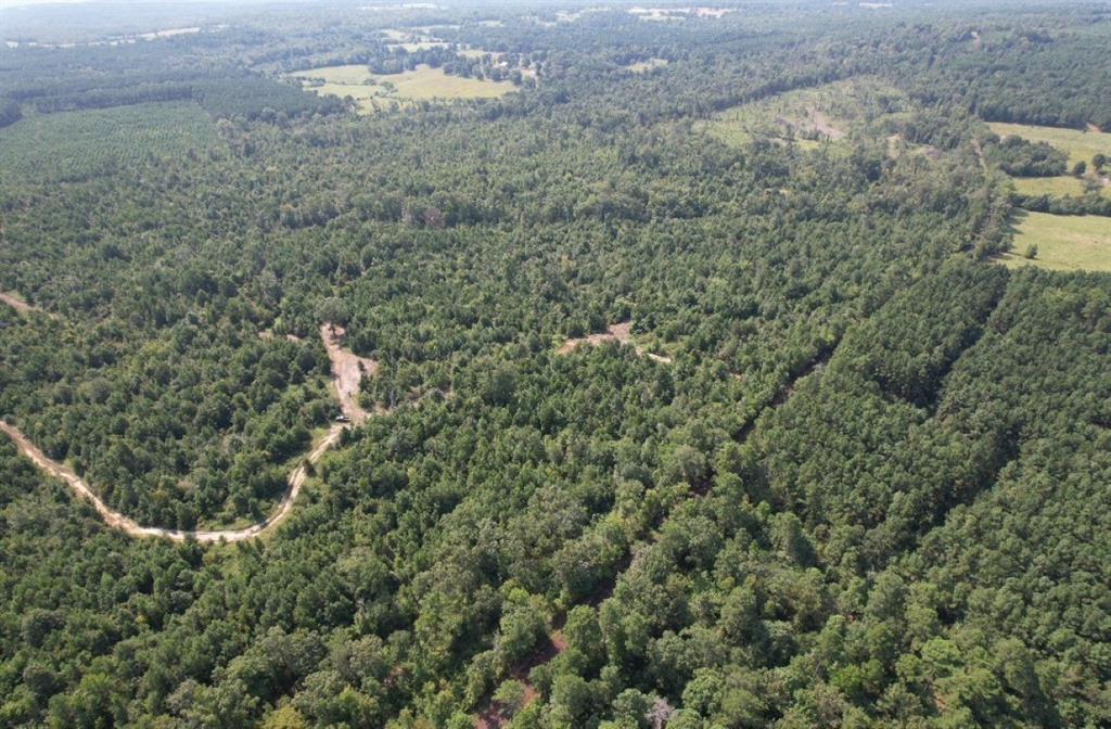 Tbd County Road 3163 Property Photo 16
