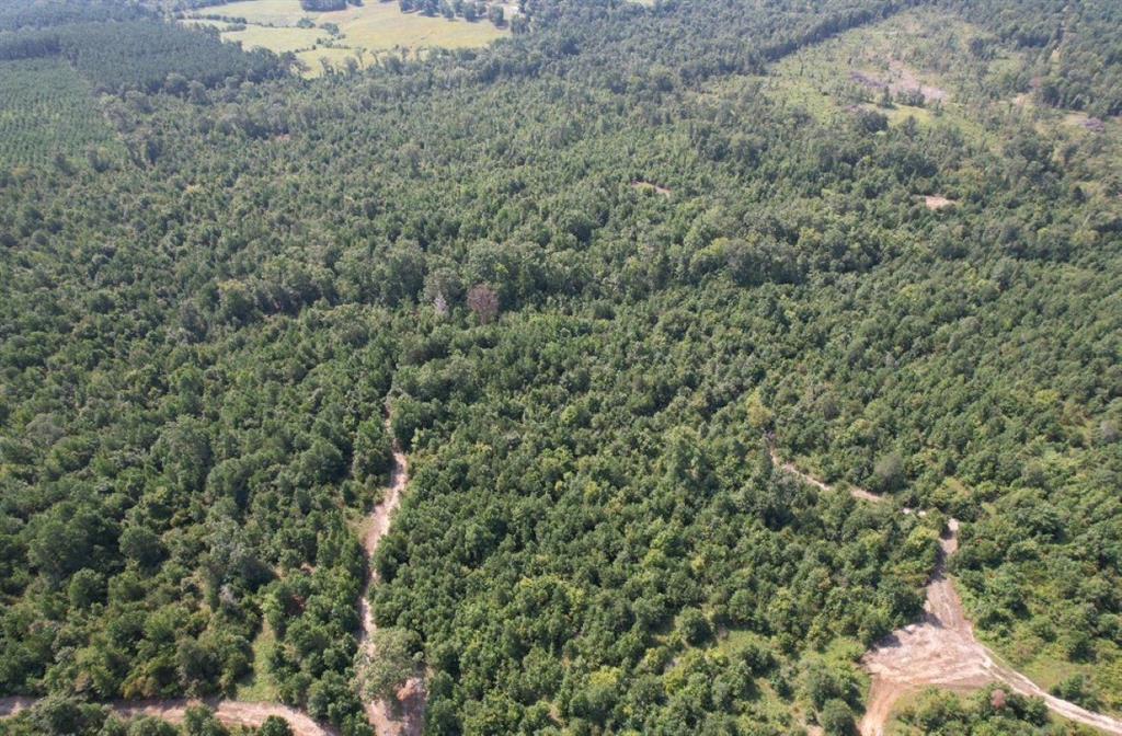 Tbd County Road 3163 Property Photo 18