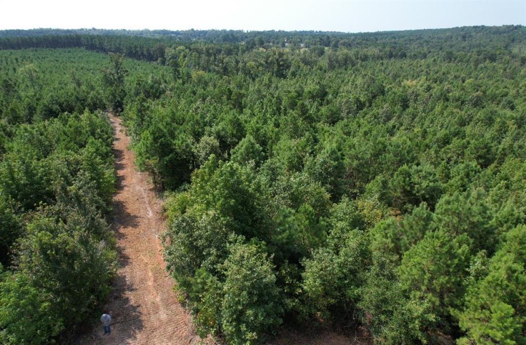 Tbd County Road 3163 Property Photo 19
