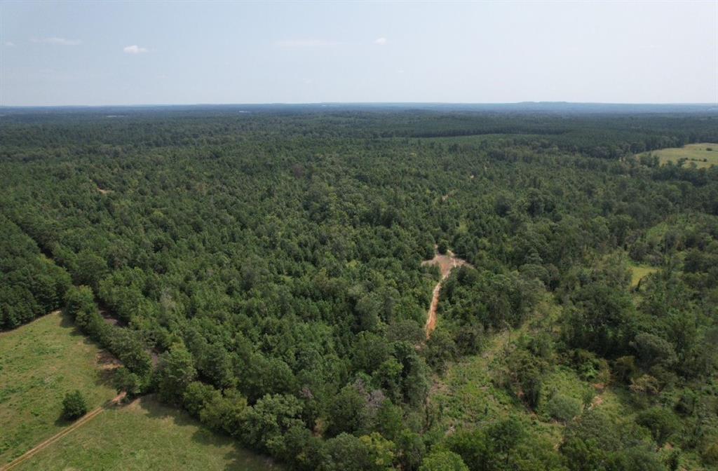 Tbd County Road 3163 Property Photo 22