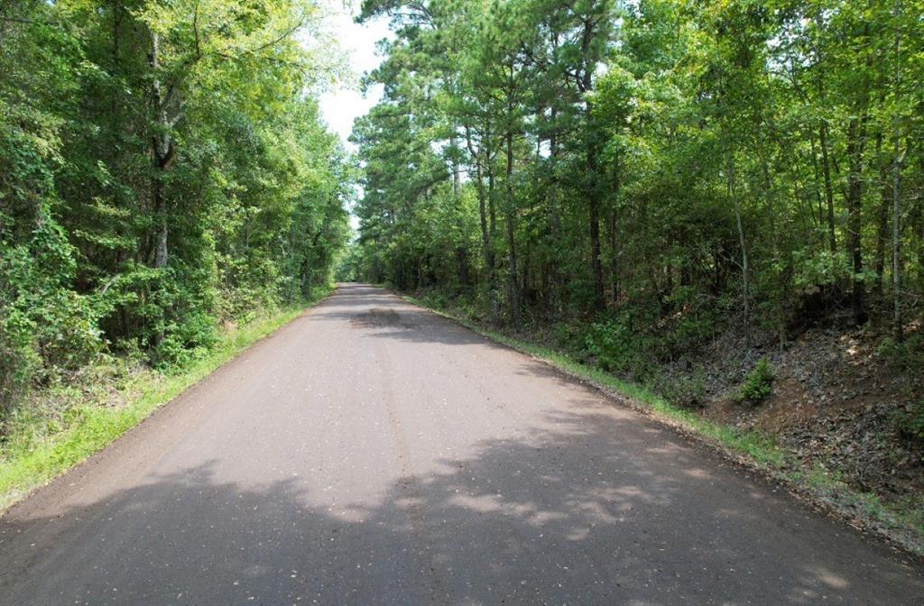 Tbd County Road 3163 Property Photo 25
