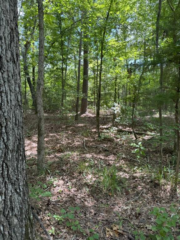 Tbd County Road 3163 Property Photo 27