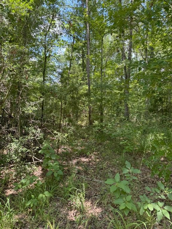 Tbd County Road 3163 Property Photo 28
