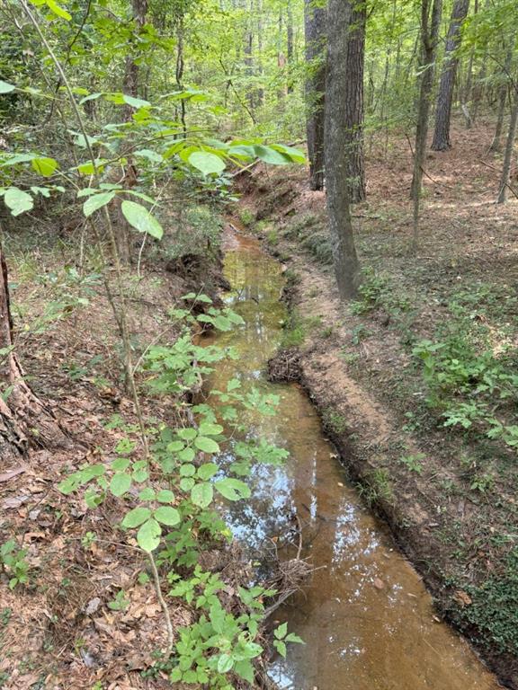 Tbd County Road 3163 Property Photo 32