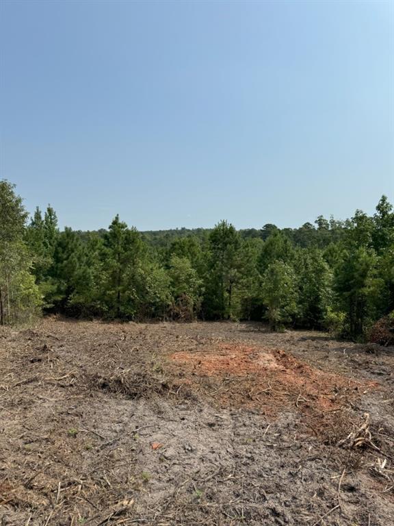 Tbd County Road 3163 Property Photo 35