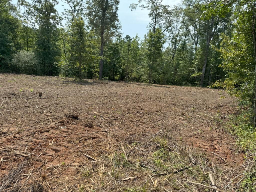 Tbd County Road 3163 Property Photo 37