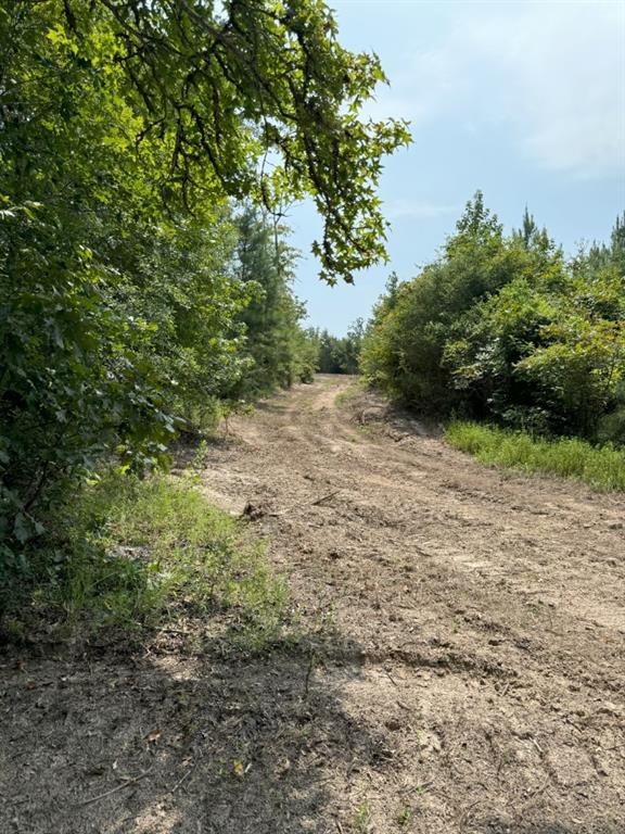 Tbd County Road 3163 Property Photo 39