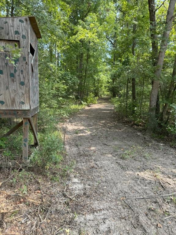 Tbd County Road 3163 Property Photo 40