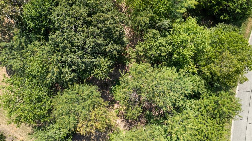 389 Roaring Fork Circle Property Photo 11
