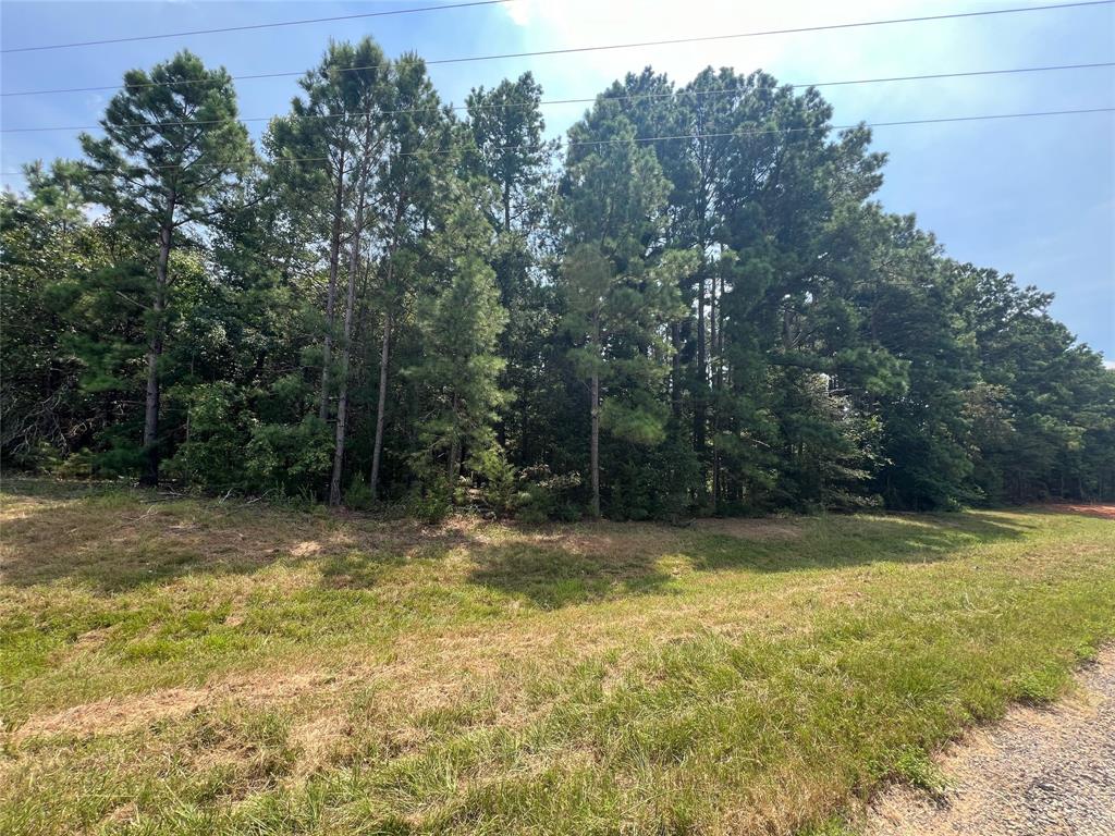 Tbd Fm 1520 Property Photo 1