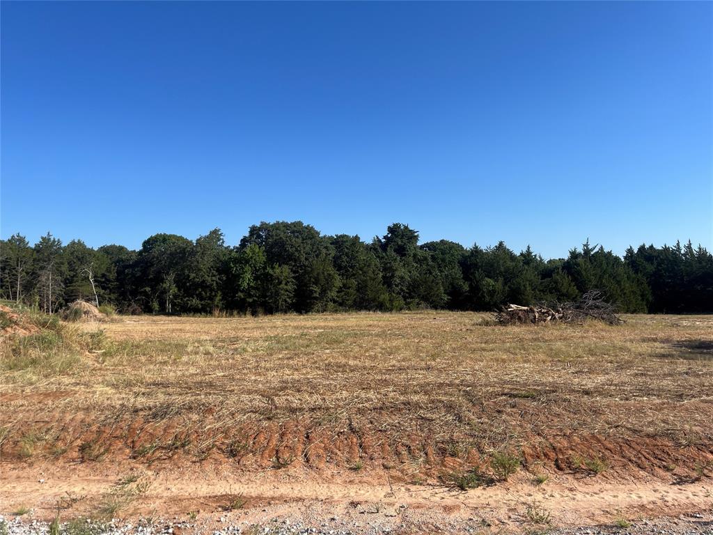 Lot 12 Cedar Springs Estates Property Photo 7