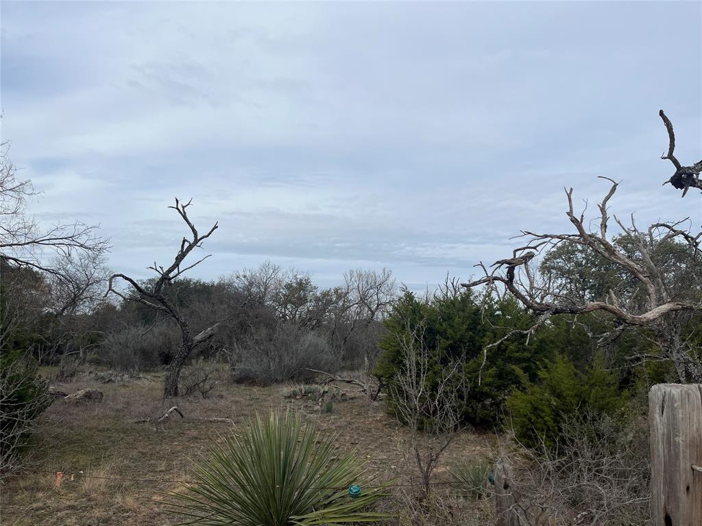 6550 Highway 84 183e Property Photo 3