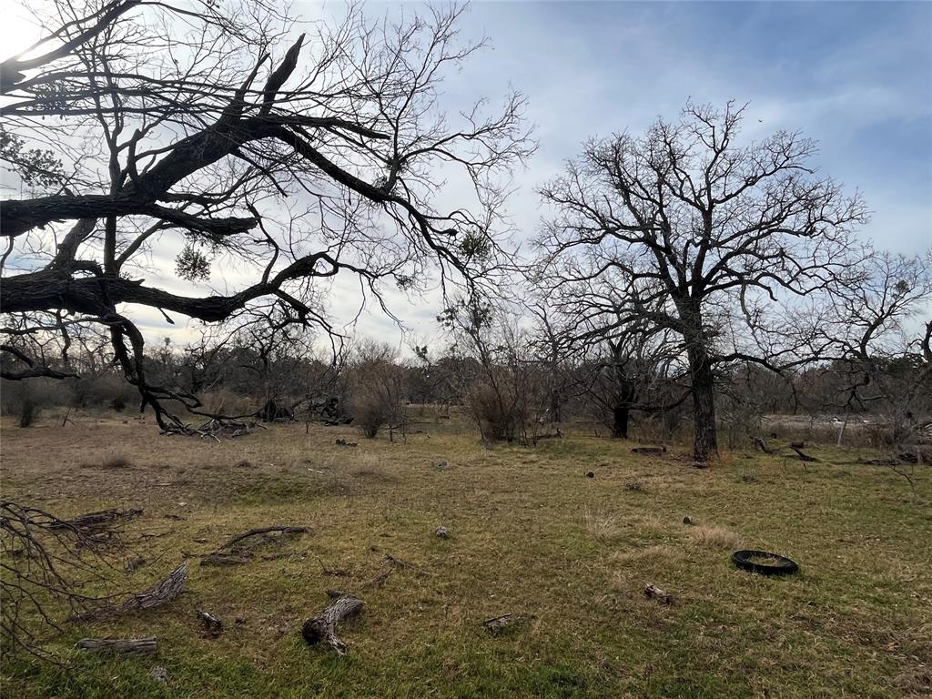 6550 Highway 84 183e Property Photo 4