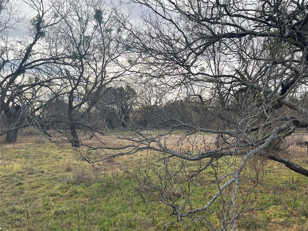 6550 Highway 84 183e Property Photo 5