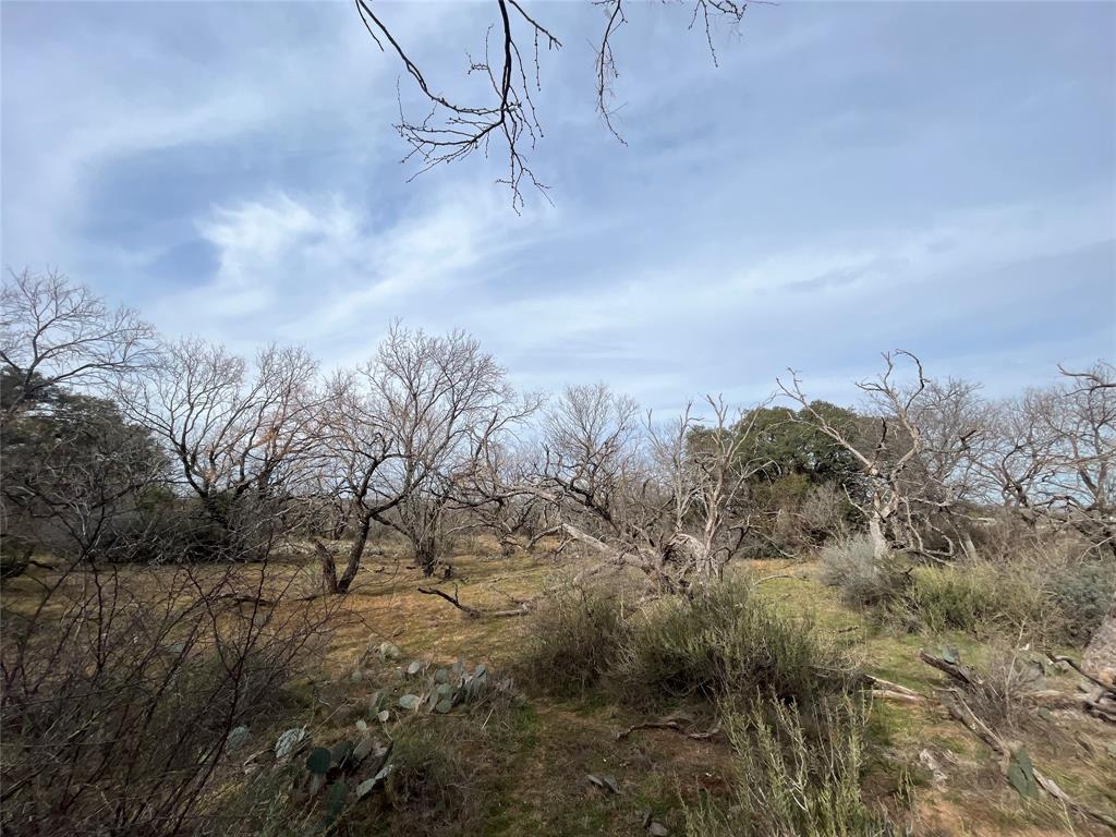6550 Highway 84 183e Property Photo 10