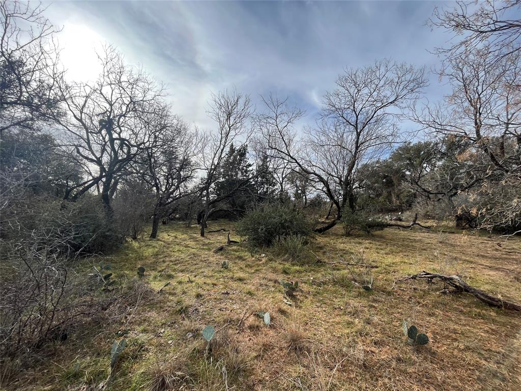 6550 Highway 84 183e Property Photo 11