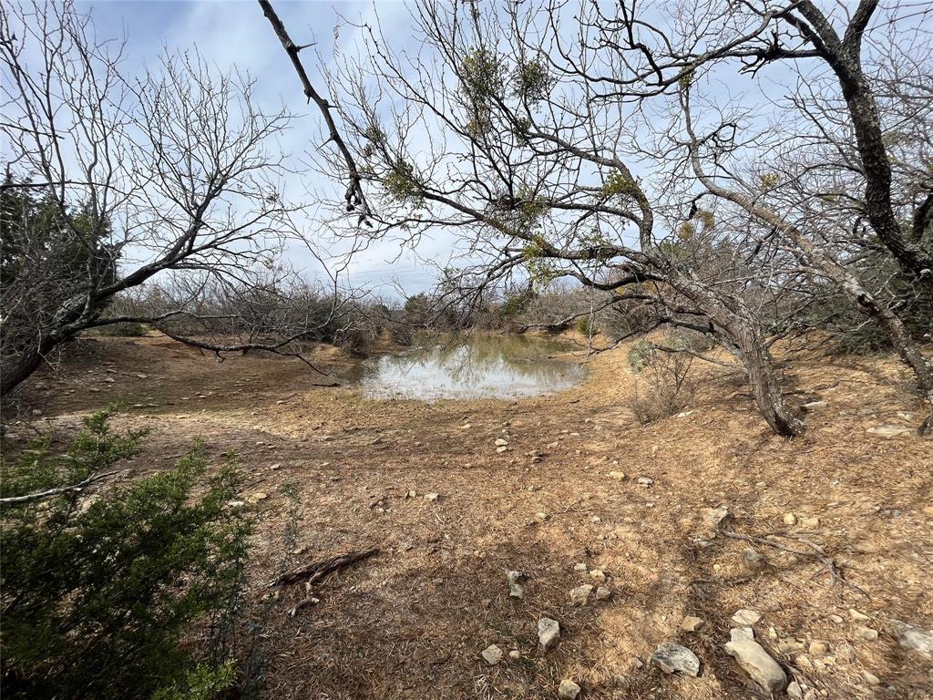 6550 Highway 84 183e Property Photo 13
