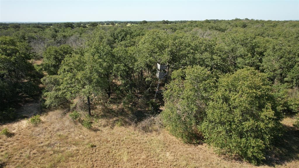 Tbd Hwy 206 Property Photo 11