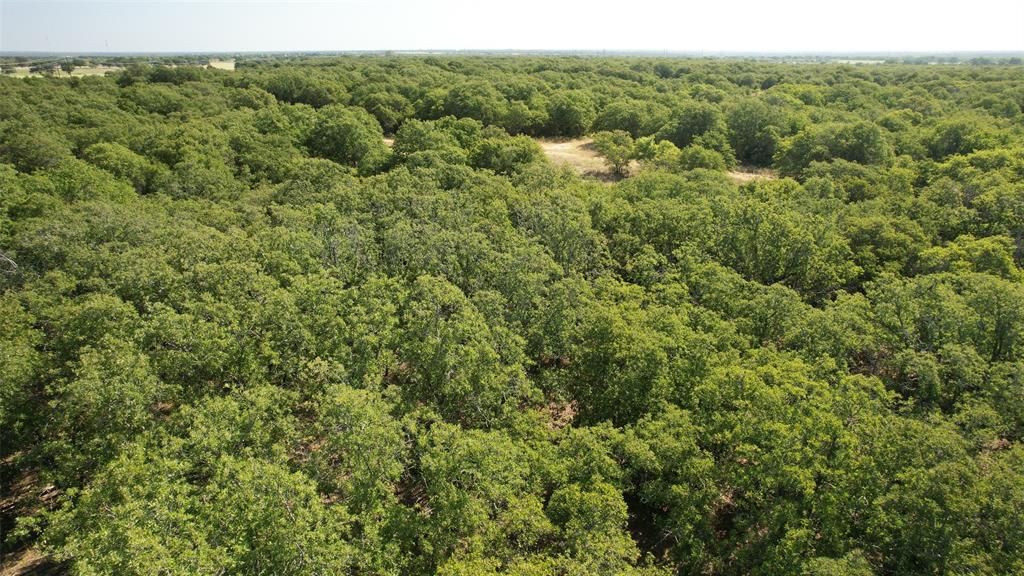 Tbd Hwy 206 Property Photo 29