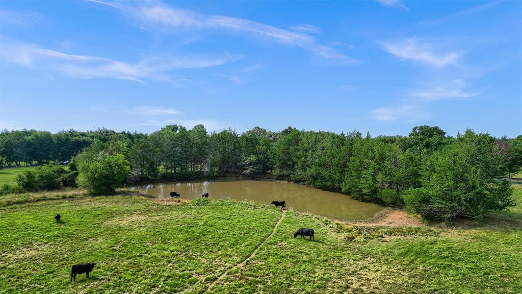 Tbd Dugan Chapel Road Property Photo 6