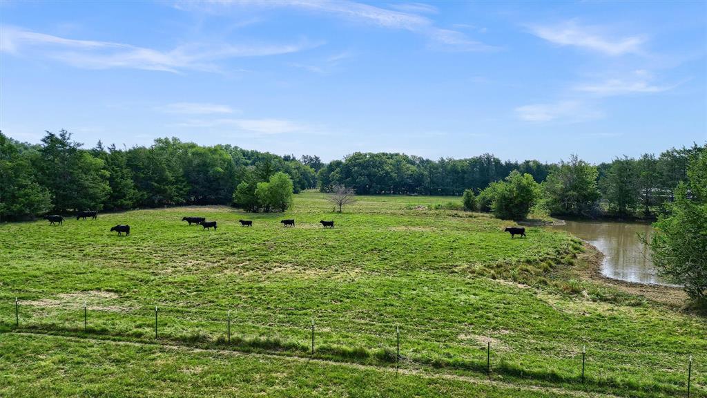 Tbd Dugan Chapel Road Property Photo 9