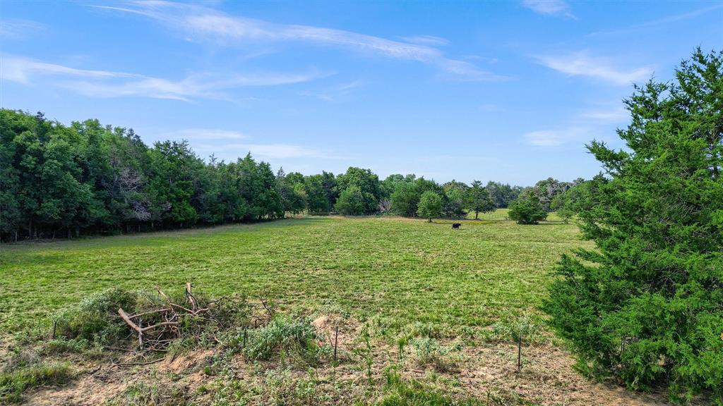 Tbd Dugan Chapel Road Property Photo 14