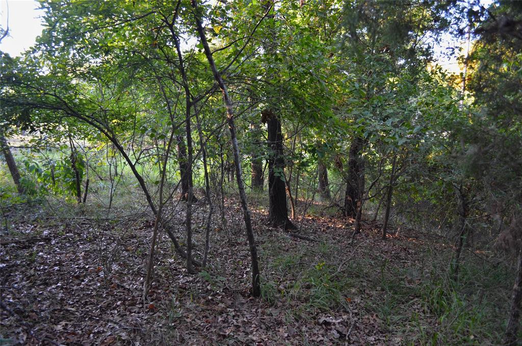 000 Goliad Drive Property Photo