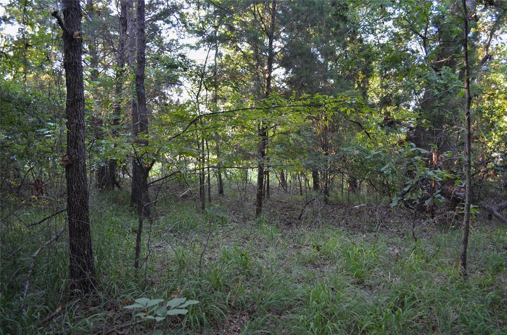 000 Goliad Drive Property Photo 6
