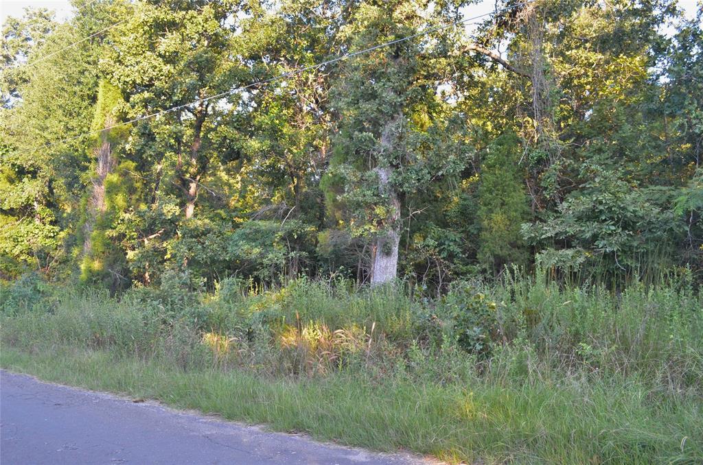 000 Goliad Drive Property Photo 7