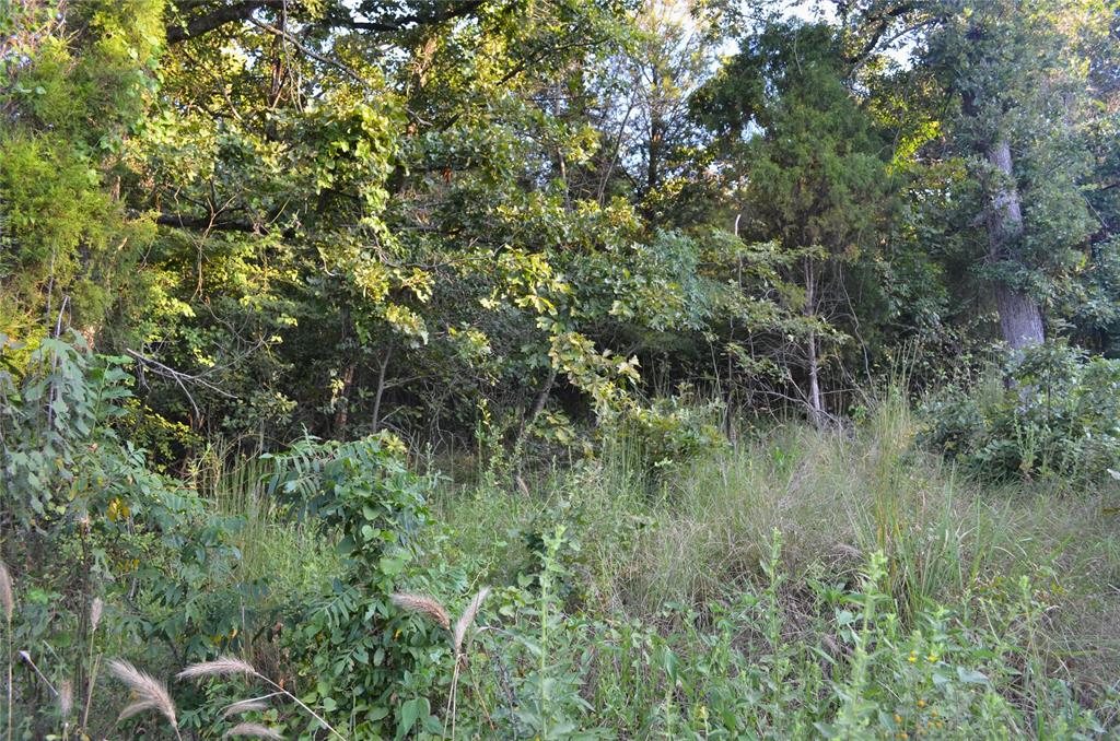 000 Goliad Drive Property Photo 8