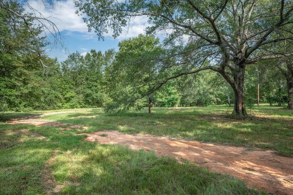 Lot 4 Willingham Road Property Photo 13