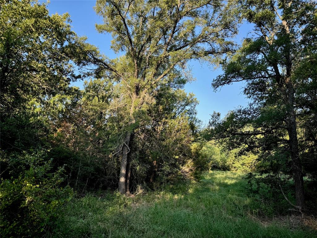 11040 County Road 1117 Property Photo 10