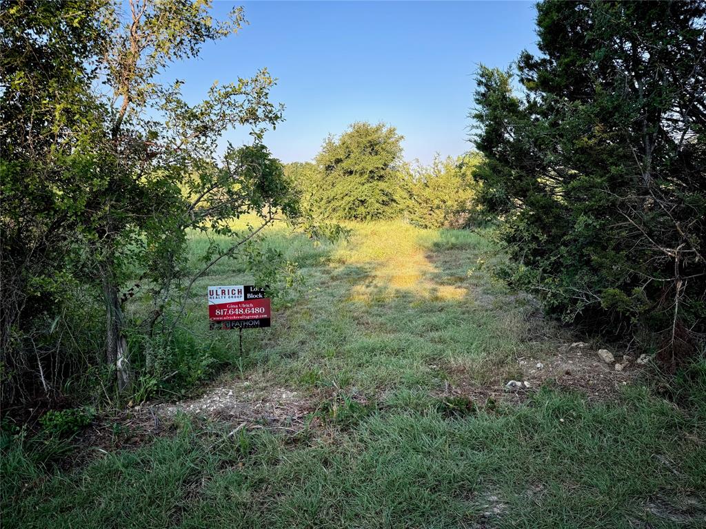 10820 County Road 1117 Property Photo 4