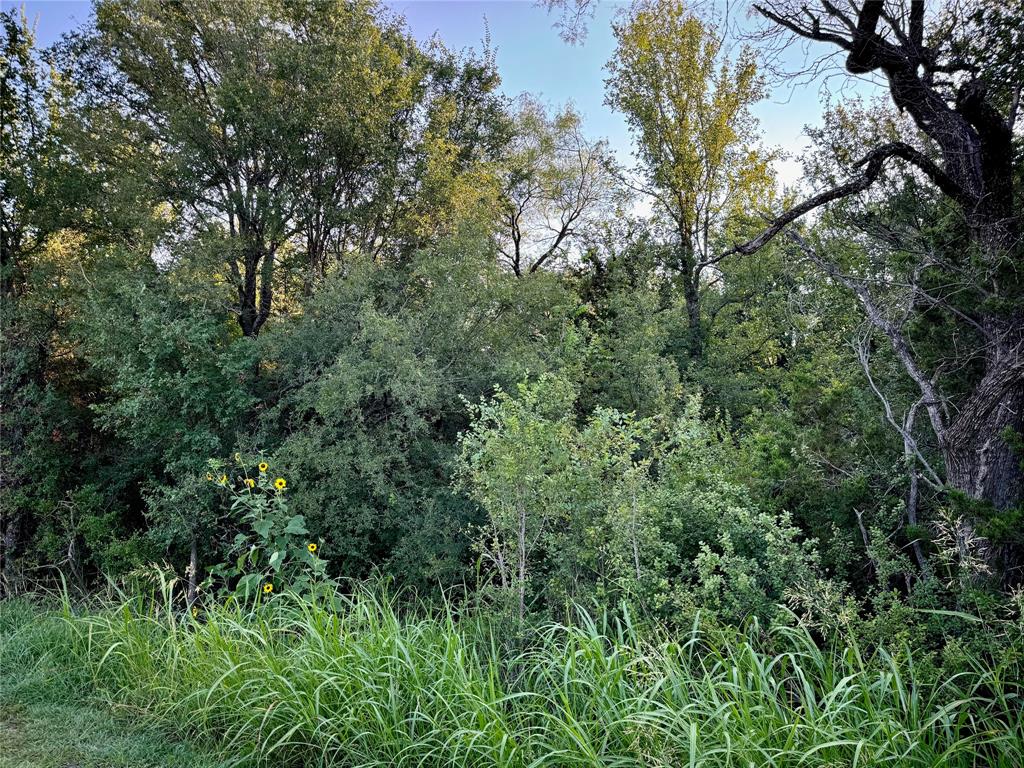 Tbd County Road 1117 Property Photo 1