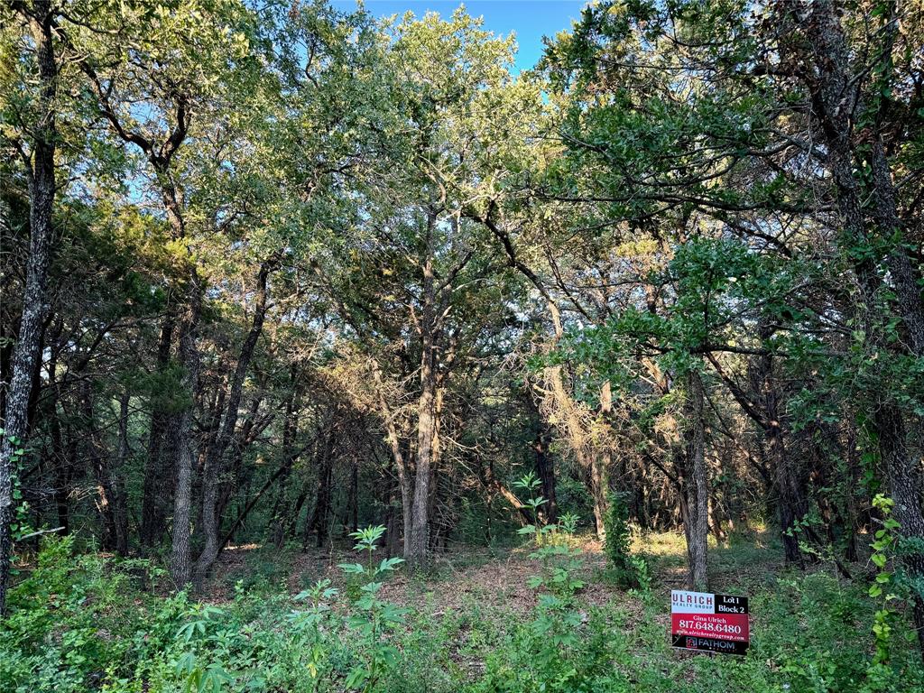 Tbd County Road 1117 Property Photo 5