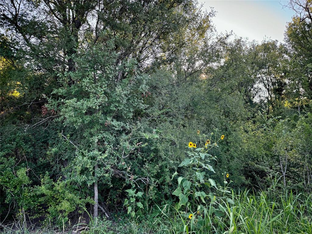 10641 County Road 1240 Property Photo 4